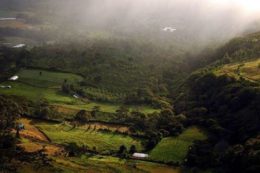 A világ egyik luxus kávéja! – Puerto Rico – Jayuya régió