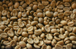 KENYA KIMATHI